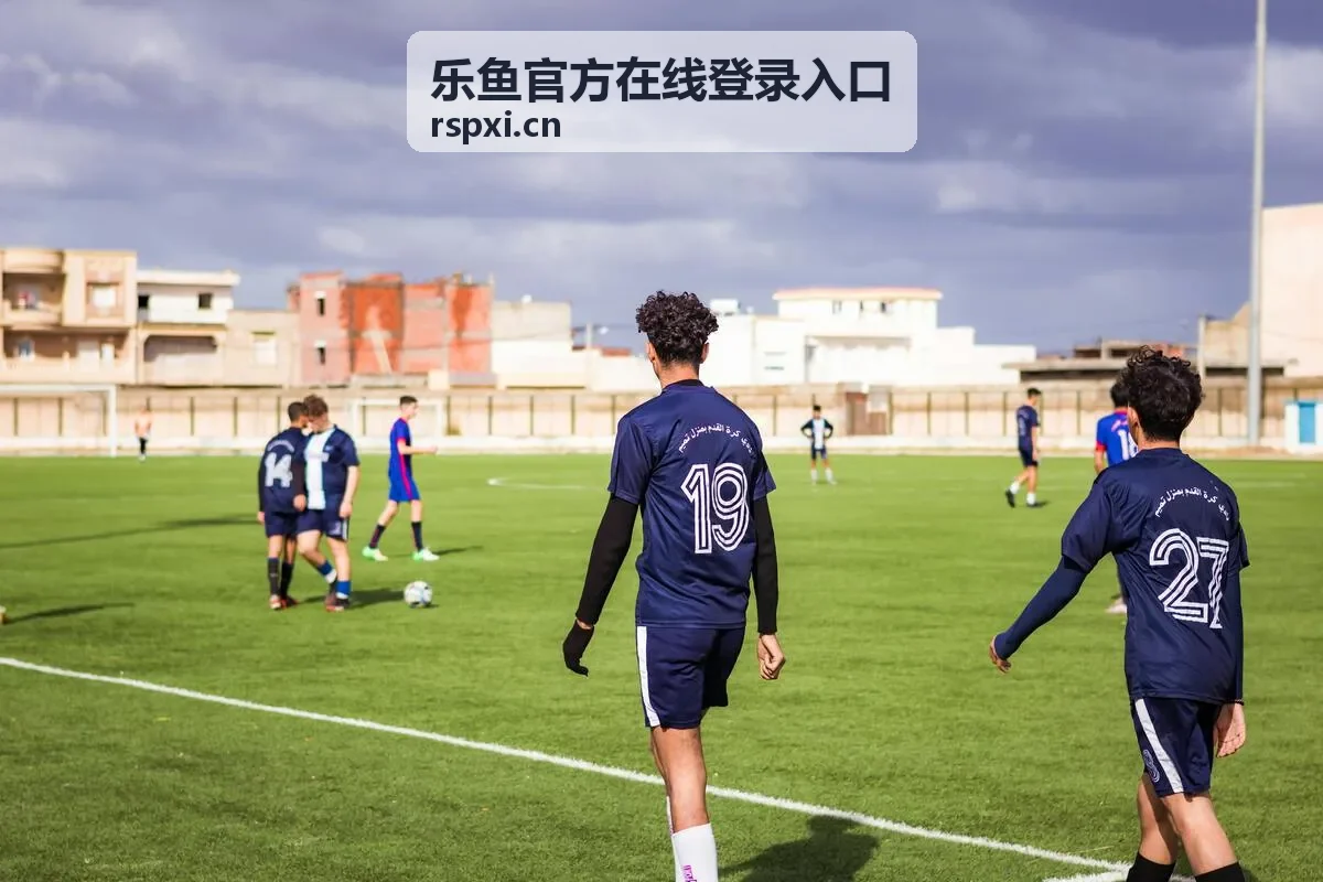 乐鱼官方在线登录入口页面进入方式示意图